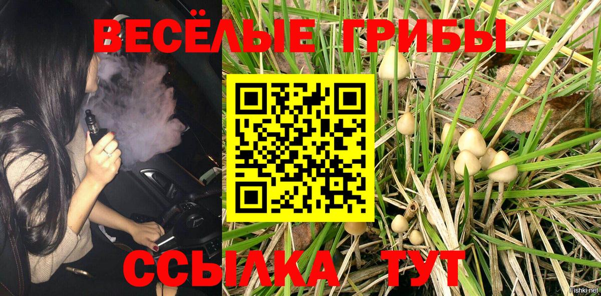 Советск  Псилоцибиновые грибы ЛСД  Вход с VPN 