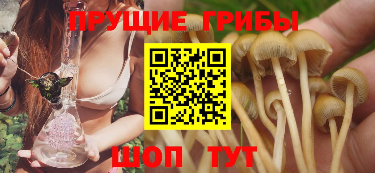 Псилоцибиновые грибы Cubensis Советск